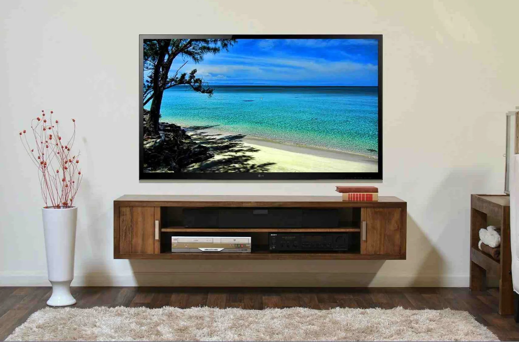 Same day TV Mounting? No worries, we’ve got your back!